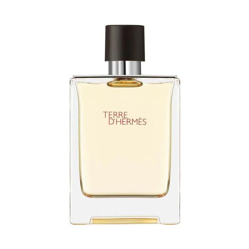 eau-de-toilette-hermes-terre-d-hermes-x-100-ml