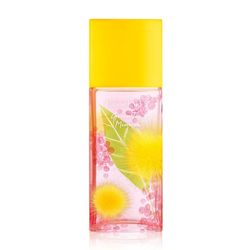 EDP Elizabeth Arden Green Tea Mimosa x 100 ml