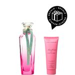 edt-adolfo-dominguez-gardenia-musk-x-120-ml-regalo