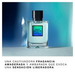 244559_edp-david-beckham-true-instinct-x-75-ml_Imagen-6.jpg.jpg