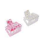 set-de-broches-wav-traslucidos-y2k-x-2-un